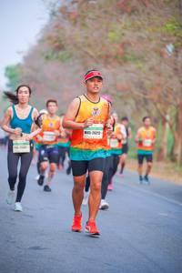 BIB: 26212
                            <button type="button" onclick="openModal(10222388)" class="btn btn-primary btn-sm float-right btn-popup" data-toggle="modal" data-target=".modal-high-quality">
                        <i class="fas fa-shopping-cart"></i> Add to Cart
                    </button>
                                            <button type="button" onclick="isThisMe(10222388, true)" class="btn btn-success btn-sm float-right btn-popup btn-isme hidden" data-toggle="tooltip" data-placement="bottom" title="นี่คือรูปของคุณใช่ไหม คลิกที่นี่เพื่อเอาเข้าอัลบั้ม">
                        <i class="fas fa-plus"></i> Add to album
                    </button>
                    <button type="button" onclick="isThisMe(10222388, false)" class="btn btn-warning btn-sm float-right btn-popup btn-isnotme hidden">
                        <i class="fas fa-ban"></i> Remove from album
                    </button>