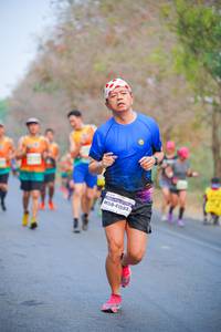 BIB: 41553
                            <button type="button" onclick="openModal(10209612)" class="btn btn-primary btn-sm float-right btn-popup" data-toggle="modal" data-target=".modal-high-quality">
                        <i class="fas fa-shopping-cart"></i> Add to Cart
                    </button>
                                            <button type="button" onclick="isThisMe(10209612, true)" class="btn btn-success btn-sm float-right btn-popup btn-isme hidden" data-toggle="tooltip" data-placement="bottom" title="นี่คือรูปของคุณใช่ไหม คลิกที่นี่เพื่อเอาเข้าอัลบั้ม">
                        <i class="fas fa-plus"></i> Add to album
                    </button>
                    <button type="button" onclick="isThisMe(10209612, false)" class="btn btn-warning btn-sm float-right btn-popup btn-isnotme hidden">
                        <i class="fas fa-ban"></i> Remove from album
                    </button>