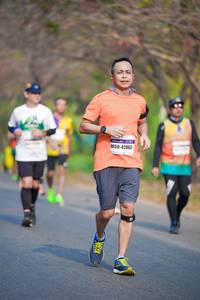 BIB: 42063
                            <button type="button" onclick="openModal(9788930)" class="btn btn-primary btn-sm float-right btn-popup" data-toggle="modal" data-target=".modal-high-quality">
                        <i class="fas fa-shopping-cart"></i> Add to Cart
                    </button>
                                            <button type="button" onclick="isThisMe(9788930, true)" class="btn btn-success btn-sm float-right btn-popup btn-isme hidden" data-toggle="tooltip" data-placement="bottom" title="นี่คือรูปของคุณใช่ไหม คลิกที่นี่เพื่อเอาเข้าอัลบั้ม">
                        <i class="fas fa-plus"></i> Add to album
                    </button>
                    <button type="button" onclick="isThisMe(9788930, false)" class="btn btn-warning btn-sm float-right btn-popup btn-isnotme hidden">
                        <i class="fas fa-ban"></i> Remove from album
                    </button>