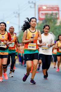 BIB: 16794, 10357, 10922
                            <button type="button" onclick="openModal(9247178)" class="btn btn-primary btn-sm float-right btn-popup" data-toggle="modal" data-target=".modal-high-quality">
                        <i class="fas fa-shopping-cart"></i> Add to Cart
                    </button>
                                            <button type="button" onclick="isThisMe(9247178, true)" class="btn btn-success btn-sm float-right btn-popup btn-isme hidden" data-toggle="tooltip" data-placement="bottom" title="นี่คือรูปของคุณใช่ไหม คลิกที่นี่เพื่อเอาเข้าอัลบั้ม">
                        <i class="fas fa-plus"></i> Add to album
                    </button>
                    <button type="button" onclick="isThisMe(9247178, false)" class="btn btn-warning btn-sm float-right btn-popup btn-isnotme hidden">
                        <i class="fas fa-ban"></i> Remove from album
                    </button>