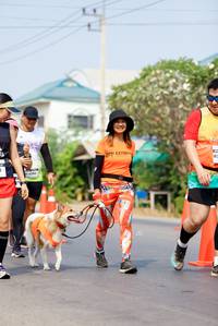 BIB: 
                            <button type="button" onclick="openModal(9216404)" class="btn btn-primary btn-sm float-right btn-popup" data-toggle="modal" data-target=".modal-high-quality">
                        <i class="fas fa-shopping-cart"></i> Add to Cart
                    </button>
                                            <button type="button" onclick="isThisMe(9216404, true)" class="btn btn-success btn-sm float-right btn-popup btn-isme hidden" data-toggle="tooltip" data-placement="bottom" title="นี่คือรูปของคุณใช่ไหม คลิกที่นี่เพื่อเอาเข้าอัลบั้ม">
                        <i class="fas fa-plus"></i> Add to album
                    </button>
                    <button type="button" onclick="isThisMe(9216404, false)" class="btn btn-warning btn-sm float-right btn-popup btn-isnotme hidden">
                        <i class="fas fa-ban"></i> Remove from album
                    </button>