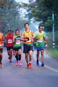 BIB: 48210, 450
                            <button type="button" onclick="openModal(8057957)" class="btn btn-primary btn-sm float-right btn-popup" data-toggle="modal" data-target=".modal-high-quality">
                        <i class="fas fa-shopping-cart"></i> Add to Cart
                    </button>
                                            <button type="button" onclick="isThisMe(8057957, true)" class="btn btn-success btn-sm float-right btn-popup btn-isme hidden" data-toggle="tooltip" data-placement="bottom" title="นี่คือรูปของคุณใช่ไหม คลิกที่นี่เพื่อเอาเข้าอัลบั้ม">
                        <i class="fas fa-plus"></i> Add to album
                    </button>
                    <button type="button" onclick="isThisMe(8057957, false)" class="btn btn-warning btn-sm float-right btn-popup btn-isnotme hidden">
                        <i class="fas fa-ban"></i> Remove from album
                    </button>