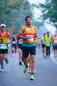 BIB: 1317, 404
                            <button type="button" onclick="openModal(8305582)" class="btn btn-primary btn-sm float-right btn-popup" data-toggle="modal" data-target=".modal-high-quality">
                        <i class="fas fa-shopping-cart"></i> Add to Cart
                    </button>
                                            <button type="button" onclick="isThisMe(8305582, true)" class="btn btn-success btn-sm float-right btn-popup btn-isme hidden" data-toggle="tooltip" data-placement="bottom" title="นี่คือรูปของคุณใช่ไหม คลิกที่นี่เพื่อเอาเข้าอัลบั้ม">
                        <i class="fas fa-plus"></i> Add to album
                    </button>
                    <button type="button" onclick="isThisMe(8305582, false)" class="btn btn-warning btn-sm float-right btn-popup btn-isnotme hidden">
                        <i class="fas fa-ban"></i> Remove from album
                    </button>