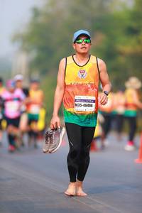 BIB: 46498
                            <button type="button" onclick="openModal(8018884)" class="btn btn-primary btn-sm float-right btn-popup" data-toggle="modal" data-target=".modal-high-quality">
                        <i class="fas fa-shopping-cart"></i> Add to Cart
                    </button>
                                            <button type="button" onclick="isThisMe(8018884, true)" class="btn btn-success btn-sm float-right btn-popup btn-isme hidden" data-toggle="tooltip" data-placement="bottom" title="นี่คือรูปของคุณใช่ไหม คลิกที่นี่เพื่อเอาเข้าอัลบั้ม">
                        <i class="fas fa-plus"></i> Add to album
                    </button>
                    <button type="button" onclick="isThisMe(8018884, false)" class="btn btn-warning btn-sm float-right btn-popup btn-isnotme hidden">
                        <i class="fas fa-ban"></i> Remove from album
                    </button>