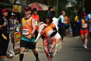 BIB: 42624
                            <button type="button" onclick="openModal(9265977)" class="btn btn-primary btn-sm float-right btn-popup" data-toggle="modal" data-target=".modal-high-quality">
                        <i class="fas fa-shopping-cart"></i> Add to Cart
                    </button>
                                            <button type="button" onclick="isThisMe(9265977, true)" class="btn btn-success btn-sm float-right btn-popup btn-isme hidden" data-toggle="tooltip" data-placement="bottom" title="นี่คือรูปของคุณใช่ไหม คลิกที่นี่เพื่อเอาเข้าอัลบั้ม">
                        <i class="fas fa-plus"></i> Add to album
                    </button>
                    <button type="button" onclick="isThisMe(9265977, false)" class="btn btn-warning btn-sm float-right btn-popup btn-isnotme hidden">
                        <i class="fas fa-ban"></i> Remove from album
                    </button>