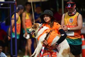 BIB: 215, 42624
                            <button type="button" onclick="openModal(9266047)" class="btn btn-primary btn-sm float-right btn-popup" data-toggle="modal" data-target=".modal-high-quality">
                        <i class="fas fa-shopping-cart"></i> Add to Cart
                    </button>
                                            <button type="button" onclick="isThisMe(9266047, true)" class="btn btn-success btn-sm float-right btn-popup btn-isme hidden" data-toggle="tooltip" data-placement="bottom" title="นี่คือรูปของคุณใช่ไหม คลิกที่นี่เพื่อเอาเข้าอัลบั้ม">
                        <i class="fas fa-plus"></i> Add to album
                    </button>
                    <button type="button" onclick="isThisMe(9266047, false)" class="btn btn-warning btn-sm float-right btn-popup btn-isnotme hidden">
                        <i class="fas fa-ban"></i> Remove from album
                    </button>