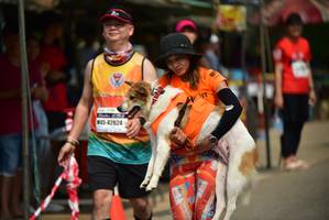 BIB: 42624
                            <button type="button" onclick="openModal(9266025)" class="btn btn-primary btn-sm float-right btn-popup" data-toggle="modal" data-target=".modal-high-quality">
                        <i class="fas fa-shopping-cart"></i> Add to Cart
                    </button>
                                            <button type="button" onclick="isThisMe(9266025, true)" class="btn btn-success btn-sm float-right btn-popup btn-isme hidden" data-toggle="tooltip" data-placement="bottom" title="นี่คือรูปของคุณใช่ไหม คลิกที่นี่เพื่อเอาเข้าอัลบั้ม">
                        <i class="fas fa-plus"></i> Add to album
                    </button>
                    <button type="button" onclick="isThisMe(9266025, false)" class="btn btn-warning btn-sm float-right btn-popup btn-isnotme hidden">
                        <i class="fas fa-ban"></i> Remove from album
                    </button>