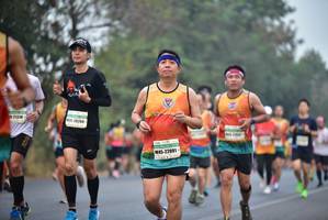 BIB: 21318, 2628, 22091, 
                            <button type="button" onclick="openModal(8224948)" class="btn btn-primary btn-sm float-right btn-popup" data-toggle="modal" data-target=".modal-high-quality">
                        <i class="fas fa-shopping-cart"></i> Add to Cart
                    </button>
                                            <button type="button" onclick="isThisMe(8224948, true)" class="btn btn-success btn-sm float-right btn-popup btn-isme hidden" data-toggle="tooltip" data-placement="bottom" title="นี่คือรูปของคุณใช่ไหม คลิกที่นี่เพื่อเอาเข้าอัลบั้ม">
                        <i class="fas fa-plus"></i> Add to album
                    </button>
                    <button type="button" onclick="isThisMe(8224948, false)" class="btn btn-warning btn-sm float-right btn-popup btn-isnotme hidden">
                        <i class="fas fa-ban"></i> Remove from album
                    </button>