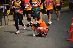 BIB: 47007, 45236
                            <button type="button" onclick="openModal(9265974)" class="btn btn-primary btn-sm float-right btn-popup" data-toggle="modal" data-target=".modal-high-quality">
                        <i class="fas fa-shopping-cart"></i> Add to Cart
                    </button>
                                            <button type="button" onclick="isThisMe(9265974, true)" class="btn btn-success btn-sm float-right btn-popup btn-isme hidden" data-toggle="tooltip" data-placement="bottom" title="นี่คือรูปของคุณใช่ไหม คลิกที่นี่เพื่อเอาเข้าอัลบั้ม">
                        <i class="fas fa-plus"></i> Add to album
                    </button>
                    <button type="button" onclick="isThisMe(9265974, false)" class="btn btn-warning btn-sm float-right btn-popup btn-isnotme hidden">
                        <i class="fas fa-ban"></i> Remove from album
                    </button>