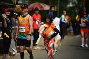 BIB: 42624
                            <button type="button" onclick="openModal(9265985)" class="btn btn-primary btn-sm float-right btn-popup" data-toggle="modal" data-target=".modal-high-quality">
                        <i class="fas fa-shopping-cart"></i> Add to Cart
                    </button>
                                            <button type="button" onclick="isThisMe(9265985, true)" class="btn btn-success btn-sm float-right btn-popup btn-isme hidden" data-toggle="tooltip" data-placement="bottom" title="นี่คือรูปของคุณใช่ไหม คลิกที่นี่เพื่อเอาเข้าอัลบั้ม">
                        <i class="fas fa-plus"></i> Add to album
                    </button>
                    <button type="button" onclick="isThisMe(9265985, false)" class="btn btn-warning btn-sm float-right btn-popup btn-isnotme hidden">
                        <i class="fas fa-ban"></i> Remove from album
                    </button>