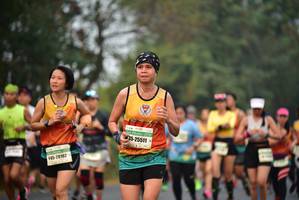 BIB: 25511, 20102
                            <button type="button" onclick="openModal(9117602)" class="btn btn-primary btn-sm float-right btn-popup" data-toggle="modal" data-target=".modal-high-quality">
                        <i class="fas fa-shopping-cart"></i> Add to Cart
                    </button>
                                            <button type="button" onclick="isThisMe(9117602, true)" class="btn btn-success btn-sm float-right btn-popup btn-isme hidden" data-toggle="tooltip" data-placement="bottom" title="นี่คือรูปของคุณใช่ไหม คลิกที่นี่เพื่อเอาเข้าอัลบั้ม">
                        <i class="fas fa-plus"></i> Add to album
                    </button>
                    <button type="button" onclick="isThisMe(9117602, false)" class="btn btn-warning btn-sm float-right btn-popup btn-isnotme hidden">
                        <i class="fas fa-ban"></i> Remove from album
                    </button>