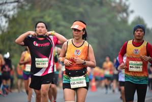 BIB: 21472, 27011, 25352
                            <button type="button" onclick="openModal(8263828)" class="btn btn-primary btn-sm float-right btn-popup" data-toggle="modal" data-target=".modal-high-quality">
                        <i class="fas fa-shopping-cart"></i> Add to Cart
                    </button>
                                            <button type="button" onclick="isThisMe(8263828, true)" class="btn btn-success btn-sm float-right btn-popup btn-isme hidden" data-toggle="tooltip" data-placement="bottom" title="นี่คือรูปของคุณใช่ไหม คลิกที่นี่เพื่อเอาเข้าอัลบั้ม">
                        <i class="fas fa-plus"></i> Add to album
                    </button>
                    <button type="button" onclick="isThisMe(8263828, false)" class="btn btn-warning btn-sm float-right btn-popup btn-isnotme hidden">
                        <i class="fas fa-ban"></i> Remove from album
                    </button>