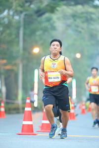 BIB: 16225
                            <button type="button" onclick="openModal(7542999)" class="btn btn-primary btn-sm float-right btn-popup" data-toggle="modal" data-target=".modal-high-quality">
                        <i class="fas fa-shopping-cart"></i> Add to Cart
                    </button>
                                            <button type="button" onclick="isThisMe(7542999, true)" class="btn btn-success btn-sm float-right btn-popup btn-isme hidden" data-toggle="tooltip" data-placement="bottom" title="นี่คือรูปของคุณใช่ไหม คลิกที่นี่เพื่อเอาเข้าอัลบั้ม">
                        <i class="fas fa-plus"></i> Add to album
                    </button>
                    <button type="button" onclick="isThisMe(7542999, false)" class="btn btn-warning btn-sm float-right btn-popup btn-isnotme hidden">
                        <i class="fas fa-ban"></i> Remove from album
                    </button>