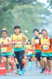 BIB: 81020, 10942, 11077
                            <button type="button" onclick="openModal(7565919)" class="btn btn-primary btn-sm float-right btn-popup" data-toggle="modal" data-target=".modal-high-quality">
                        <i class="fas fa-shopping-cart"></i> Add to Cart
                    </button>
                                            <button type="button" onclick="isThisMe(7565919, true)" class="btn btn-success btn-sm float-right btn-popup btn-isme hidden" data-toggle="tooltip" data-placement="bottom" title="นี่คือรูปของคุณใช่ไหม คลิกที่นี่เพื่อเอาเข้าอัลบั้ม">
                        <i class="fas fa-plus"></i> Add to album
                    </button>
                    <button type="button" onclick="isThisMe(7565919, false)" class="btn btn-warning btn-sm float-right btn-popup btn-isnotme hidden">
                        <i class="fas fa-ban"></i> Remove from album
                    </button>