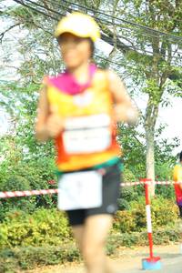 BIB: 
                            <button type="button" onclick="openModal(8133992)" class="btn btn-primary btn-sm float-right btn-popup" data-toggle="modal" data-target=".modal-high-quality">
                        <i class="fas fa-shopping-cart"></i> Add to Cart
                    </button>
                                            <button type="button" onclick="isThisMe(8133992, true)" class="btn btn-success btn-sm float-right btn-popup btn-isme hidden" data-toggle="tooltip" data-placement="bottom" title="นี่คือรูปของคุณใช่ไหม คลิกที่นี่เพื่อเอาเข้าอัลบั้ม">
                        <i class="fas fa-plus"></i> Add to album
                    </button>
                    <button type="button" onclick="isThisMe(8133992, false)" class="btn btn-warning btn-sm float-right btn-popup btn-isnotme hidden">
                        <i class="fas fa-ban"></i> Remove from album
                    </button>