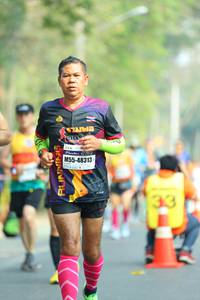 BIB: 48313
                            <button type="button" onclick="openModal(8106518)" class="btn btn-primary btn-sm float-right btn-popup" data-toggle="modal" data-target=".modal-high-quality">
                        <i class="fas fa-shopping-cart"></i> Add to Cart
                    </button>
                                            <button type="button" onclick="isThisMe(8106518, true)" class="btn btn-success btn-sm float-right btn-popup btn-isme hidden" data-toggle="tooltip" data-placement="bottom" title="นี่คือรูปของคุณใช่ไหม คลิกที่นี่เพื่อเอาเข้าอัลบั้ม">
                        <i class="fas fa-plus"></i> Add to album
                    </button>
                    <button type="button" onclick="isThisMe(8106518, false)" class="btn btn-warning btn-sm float-right btn-popup btn-isnotme hidden">
                        <i class="fas fa-ban"></i> Remove from album
                    </button>