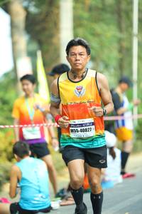 BIB: 4219, 40827
                            <button type="button" onclick="openModal(8047601)" class="btn btn-primary btn-sm float-right btn-popup" data-toggle="modal" data-target=".modal-high-quality">
                        <i class="fas fa-shopping-cart"></i> Add to Cart
                    </button>
                                            <button type="button" onclick="isThisMe(8047601, true)" class="btn btn-success btn-sm float-right btn-popup btn-isme hidden" data-toggle="tooltip" data-placement="bottom" title="นี่คือรูปของคุณใช่ไหม คลิกที่นี่เพื่อเอาเข้าอัลบั้ม">
                        <i class="fas fa-plus"></i> Add to album
                    </button>
                    <button type="button" onclick="isThisMe(8047601, false)" class="btn btn-warning btn-sm float-right btn-popup btn-isnotme hidden">
                        <i class="fas fa-ban"></i> Remove from album
                    </button>