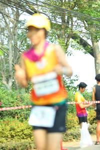 BIB: 
                            <button type="button" onclick="openModal(8133928)" class="btn btn-primary btn-sm float-right btn-popup" data-toggle="modal" data-target=".modal-high-quality">
                        <i class="fas fa-shopping-cart"></i> Add to Cart
                    </button>
                                            <button type="button" onclick="isThisMe(8133928, true)" class="btn btn-success btn-sm float-right btn-popup btn-isme hidden" data-toggle="tooltip" data-placement="bottom" title="นี่คือรูปของคุณใช่ไหม คลิกที่นี่เพื่อเอาเข้าอัลบั้ม">
                        <i class="fas fa-plus"></i> Add to album
                    </button>
                    <button type="button" onclick="isThisMe(8133928, false)" class="btn btn-warning btn-sm float-right btn-popup btn-isnotme hidden">
                        <i class="fas fa-ban"></i> Remove from album
                    </button>