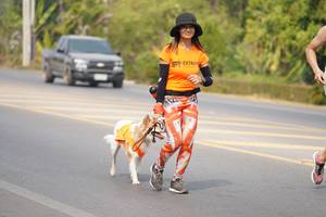 BIB: 
                            <button type="button" onclick="openModal(10362907)" class="btn btn-primary btn-sm float-right btn-popup" data-toggle="modal" data-target=".modal-high-quality">
                        <i class="fas fa-shopping-cart"></i> Add to Cart
                    </button>
                                            <button type="button" onclick="isThisMe(10362907, true)" class="btn btn-success btn-sm float-right btn-popup btn-isme hidden" data-toggle="tooltip" data-placement="bottom" title="นี่คือรูปของคุณใช่ไหม คลิกที่นี่เพื่อเอาเข้าอัลบั้ม">
                        <i class="fas fa-plus"></i> Add to album
                    </button>
                    <button type="button" onclick="isThisMe(10362907, false)" class="btn btn-warning btn-sm float-right btn-popup btn-isnotme hidden">
                        <i class="fas fa-ban"></i> Remove from album
                    </button>