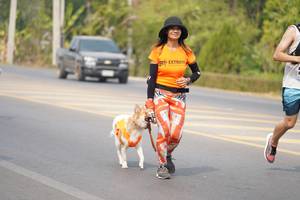 BIB: 
                            <button type="button" onclick="openModal(10362903)" class="btn btn-primary btn-sm float-right btn-popup" data-toggle="modal" data-target=".modal-high-quality">
                        <i class="fas fa-shopping-cart"></i> Add to Cart
                    </button>
                                            <button type="button" onclick="isThisMe(10362903, true)" class="btn btn-success btn-sm float-right btn-popup btn-isme hidden" data-toggle="tooltip" data-placement="bottom" title="นี่คือรูปของคุณใช่ไหม คลิกที่นี่เพื่อเอาเข้าอัลบั้ม">
                        <i class="fas fa-plus"></i> Add to album
                    </button>
                    <button type="button" onclick="isThisMe(10362903, false)" class="btn btn-warning btn-sm float-right btn-popup btn-isnotme hidden">
                        <i class="fas fa-ban"></i> Remove from album
                    </button>