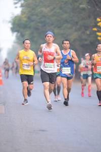 BIB: 21913
                            <button type="button" onclick="openModal(8468932)" class="btn btn-primary btn-sm float-right btn-popup" data-toggle="modal" data-target=".modal-high-quality">
                        <i class="fas fa-shopping-cart"></i> Add to Cart
                    </button>
                                            <button type="button" onclick="isThisMe(8468932, true)" class="btn btn-success btn-sm float-right btn-popup btn-isme hidden" data-toggle="tooltip" data-placement="bottom" title="นี่คือรูปของคุณใช่ไหม คลิกที่นี่เพื่อเอาเข้าอัลบั้ม">
                        <i class="fas fa-plus"></i> Add to album
                    </button>
                    <button type="button" onclick="isThisMe(8468932, false)" class="btn btn-warning btn-sm float-right btn-popup btn-isnotme hidden">
                        <i class="fas fa-ban"></i> Remove from album
                    </button>