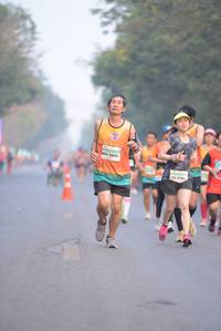 BIB: 2635, 253
                            <button type="button" onclick="openModal(8605850)" class="btn btn-primary btn-sm float-right btn-popup" data-toggle="modal" data-target=".modal-high-quality">
                        <i class="fas fa-shopping-cart"></i> Add to Cart
                    </button>
                                            <button type="button" onclick="isThisMe(8605850, true)" class="btn btn-success btn-sm float-right btn-popup btn-isme hidden" data-toggle="tooltip" data-placement="bottom" title="นี่คือรูปของคุณใช่ไหม คลิกที่นี่เพื่อเอาเข้าอัลบั้ม">
                        <i class="fas fa-plus"></i> Add to album
                    </button>
                    <button type="button" onclick="isThisMe(8605850, false)" class="btn btn-warning btn-sm float-right btn-popup btn-isnotme hidden">
                        <i class="fas fa-ban"></i> Remove from album
                    </button>