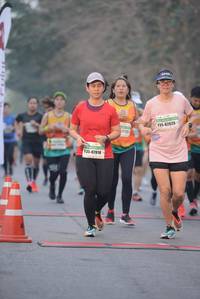 BIB: 82020, 82018
                            <button type="button" onclick="openModal(8439225)" class="btn btn-primary btn-sm float-right btn-popup" data-toggle="modal" data-target=".modal-high-quality">
                        <i class="fas fa-shopping-cart"></i> Add to Cart
                    </button>
                                            <button type="button" onclick="isThisMe(8439225, true)" class="btn btn-success btn-sm float-right btn-popup btn-isme hidden" data-toggle="tooltip" data-placement="bottom" title="นี่คือรูปของคุณใช่ไหม คลิกที่นี่เพื่อเอาเข้าอัลบั้ม">
                        <i class="fas fa-plus"></i> Add to album
                    </button>
                    <button type="button" onclick="isThisMe(8439225, false)" class="btn btn-warning btn-sm float-right btn-popup btn-isnotme hidden">
                        <i class="fas fa-ban"></i> Remove from album
                    </button>