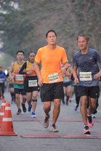 BIB: 26286, 26004
                            <button type="button" onclick="openModal(8439640)" class="btn btn-primary btn-sm float-right btn-popup" data-toggle="modal" data-target=".modal-high-quality">
                        <i class="fas fa-shopping-cart"></i> Add to Cart
                    </button>
                                            <button type="button" onclick="isThisMe(8439640, true)" class="btn btn-success btn-sm float-right btn-popup btn-isme hidden" data-toggle="tooltip" data-placement="bottom" title="นี่คือรูปของคุณใช่ไหม คลิกที่นี่เพื่อเอาเข้าอัลบั้ม">
                        <i class="fas fa-plus"></i> Add to album
                    </button>
                    <button type="button" onclick="isThisMe(8439640, false)" class="btn btn-warning btn-sm float-right btn-popup btn-isnotme hidden">
                        <i class="fas fa-ban"></i> Remove from album
                    </button>