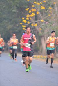 BIB: 26656
                            <button type="button" onclick="openModal(8471247)" class="btn btn-primary btn-sm float-right btn-popup" data-toggle="modal" data-target=".modal-high-quality">
                        <i class="fas fa-shopping-cart"></i> Add to Cart
                    </button>
                                            <button type="button" onclick="isThisMe(8471247, true)" class="btn btn-success btn-sm float-right btn-popup btn-isme hidden" data-toggle="tooltip" data-placement="bottom" title="นี่คือรูปของคุณใช่ไหม คลิกที่นี่เพื่อเอาเข้าอัลบั้ม">
                        <i class="fas fa-plus"></i> Add to album
                    </button>
                    <button type="button" onclick="isThisMe(8471247, false)" class="btn btn-warning btn-sm float-right btn-popup btn-isnotme hidden">
                        <i class="fas fa-ban"></i> Remove from album
                    </button>