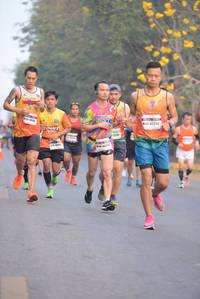 BIB: 42254
                            <button type="button" onclick="openModal(8608267)" class="btn btn-primary btn-sm float-right btn-popup" data-toggle="modal" data-target=".modal-high-quality">
                        <i class="fas fa-shopping-cart"></i> Add to Cart
                    </button>
                                            <button type="button" onclick="isThisMe(8608267, true)" class="btn btn-success btn-sm float-right btn-popup btn-isme hidden" data-toggle="tooltip" data-placement="bottom" title="นี่คือรูปของคุณใช่ไหม คลิกที่นี่เพื่อเอาเข้าอัลบั้ม">
                        <i class="fas fa-plus"></i> Add to album
                    </button>
                    <button type="button" onclick="isThisMe(8608267, false)" class="btn btn-warning btn-sm float-right btn-popup btn-isnotme hidden">
                        <i class="fas fa-ban"></i> Remove from album
                    </button>