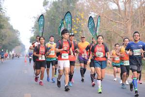 BIB: 275, 215
                            <button type="button" onclick="openModal(8602915)" class="btn btn-primary btn-sm float-right btn-popup" data-toggle="modal" data-target=".modal-high-quality">
                        <i class="fas fa-shopping-cart"></i> Add to Cart
                    </button>
                                            <button type="button" onclick="isThisMe(8602915, true)" class="btn btn-success btn-sm float-right btn-popup btn-isme hidden" data-toggle="tooltip" data-placement="bottom" title="นี่คือรูปของคุณใช่ไหม คลิกที่นี่เพื่อเอาเข้าอัลบั้ม">
                        <i class="fas fa-plus"></i> Add to album
                    </button>
                    <button type="button" onclick="isThisMe(8602915, false)" class="btn btn-warning btn-sm float-right btn-popup btn-isnotme hidden">
                        <i class="fas fa-ban"></i> Remove from album
                    </button>