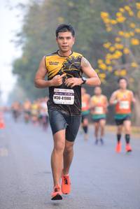 BIB: 41980
                            <button type="button" onclick="openModal(8472112)" class="btn btn-primary btn-sm float-right btn-popup" data-toggle="modal" data-target=".modal-high-quality">
                        <i class="fas fa-shopping-cart"></i> Add to Cart
                    </button>
                                            <button type="button" onclick="isThisMe(8472112, true)" class="btn btn-success btn-sm float-right btn-popup btn-isme hidden" data-toggle="tooltip" data-placement="bottom" title="นี่คือรูปของคุณใช่ไหม คลิกที่นี่เพื่อเอาเข้าอัลบั้ม">
                        <i class="fas fa-plus"></i> Add to album
                    </button>
                    <button type="button" onclick="isThisMe(8472112, false)" class="btn btn-warning btn-sm float-right btn-popup btn-isnotme hidden">
                        <i class="fas fa-ban"></i> Remove from album
                    </button>