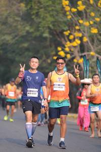 BIB: 40751, 42641
                            <button type="button" onclick="openModal(8766349)" class="btn btn-primary btn-sm float-right btn-popup" data-toggle="modal" data-target=".modal-high-quality">
                        <i class="fas fa-shopping-cart"></i> Add to Cart
                    </button>
                                            <button type="button" onclick="isThisMe(8766349, true)" class="btn btn-success btn-sm float-right btn-popup btn-isme hidden" data-toggle="tooltip" data-placement="bottom" title="นี่คือรูปของคุณใช่ไหม คลิกที่นี่เพื่อเอาเข้าอัลบั้ม">
                        <i class="fas fa-plus"></i> Add to album
                    </button>
                    <button type="button" onclick="isThisMe(8766349, false)" class="btn btn-warning btn-sm float-right btn-popup btn-isnotme hidden">
                        <i class="fas fa-ban"></i> Remove from album
                    </button>