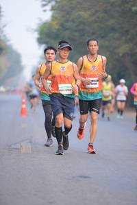 BIB: 42080, 26958
                            <button type="button" onclick="openModal(8605192)" class="btn btn-primary btn-sm float-right btn-popup" data-toggle="modal" data-target=".modal-high-quality">
                        <i class="fas fa-shopping-cart"></i> Add to Cart
                    </button>
                                            <button type="button" onclick="isThisMe(8605192, true)" class="btn btn-success btn-sm float-right btn-popup btn-isme hidden" data-toggle="tooltip" data-placement="bottom" title="นี่คือรูปของคุณใช่ไหม คลิกที่นี่เพื่อเอาเข้าอัลบั้ม">
                        <i class="fas fa-plus"></i> Add to album
                    </button>
                    <button type="button" onclick="isThisMe(8605192, false)" class="btn btn-warning btn-sm float-right btn-popup btn-isnotme hidden">
                        <i class="fas fa-ban"></i> Remove from album
                    </button>