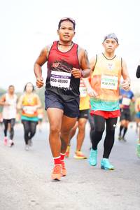 BIB: 
                            <button type="button" onclick="openModal(7527469)" class="btn btn-primary btn-sm float-right btn-popup" data-toggle="modal" data-target=".modal-high-quality">
                        <i class="fas fa-shopping-cart"></i> Add to Cart
                    </button>
                                            <button type="button" onclick="isThisMe(7527469, true)" class="btn btn-success btn-sm float-right btn-popup btn-isme hidden" data-toggle="tooltip" data-placement="bottom" title="นี่คือรูปของคุณใช่ไหม คลิกที่นี่เพื่อเอาเข้าอัลบั้ม">
                        <i class="fas fa-plus"></i> Add to album
                    </button>
                    <button type="button" onclick="isThisMe(7527469, false)" class="btn btn-warning btn-sm float-right btn-popup btn-isnotme hidden">
                        <i class="fas fa-ban"></i> Remove from album
                    </button>