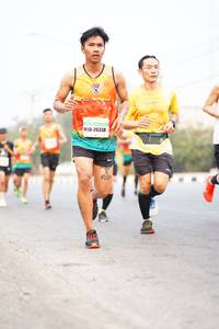 BIB: 26338
                            <button type="button" onclick="openModal(10183650)" class="btn btn-primary btn-sm float-right btn-popup" data-toggle="modal" data-target=".modal-high-quality">
                        <i class="fas fa-shopping-cart"></i> Add to Cart
                    </button>
                                            <button type="button" onclick="isThisMe(10183650, true)" class="btn btn-success btn-sm float-right btn-popup btn-isme hidden" data-toggle="tooltip" data-placement="bottom" title="นี่คือรูปของคุณใช่ไหม คลิกที่นี่เพื่อเอาเข้าอัลบั้ม">
                        <i class="fas fa-plus"></i> Add to album
                    </button>
                    <button type="button" onclick="isThisMe(10183650, false)" class="btn btn-warning btn-sm float-right btn-popup btn-isnotme hidden">
                        <i class="fas fa-ban"></i> Remove from album
                    </button>