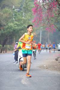 BIB: 
                            <button type="button" onclick="openModal(8063041)" class="btn btn-primary btn-sm float-right btn-popup" data-toggle="modal" data-target=".modal-high-quality">
                        <i class="fas fa-shopping-cart"></i> Add to Cart
                    </button>
                                            <button type="button" onclick="isThisMe(8063041, true)" class="btn btn-success btn-sm float-right btn-popup btn-isme hidden" data-toggle="tooltip" data-placement="bottom" title="นี่คือรูปของคุณใช่ไหม คลิกที่นี่เพื่อเอาเข้าอัลบั้ม">
                        <i class="fas fa-plus"></i> Add to album
                    </button>
                    <button type="button" onclick="isThisMe(8063041, false)" class="btn btn-warning btn-sm float-right btn-popup btn-isnotme hidden">
                        <i class="fas fa-ban"></i> Remove from album
                    </button>