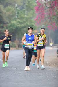 BIB: 135, 152, 17391
                            <button type="button" onclick="openModal(8067238)" class="btn btn-primary btn-sm float-right btn-popup" data-toggle="modal" data-target=".modal-high-quality">
                        <i class="fas fa-shopping-cart"></i> Add to Cart
                    </button>
                                            <button type="button" onclick="isThisMe(8067238, true)" class="btn btn-success btn-sm float-right btn-popup btn-isme hidden" data-toggle="tooltip" data-placement="bottom" title="นี่คือรูปของคุณใช่ไหม คลิกที่นี่เพื่อเอาเข้าอัลบั้ม">
                        <i class="fas fa-plus"></i> Add to album
                    </button>
                    <button type="button" onclick="isThisMe(8067238, false)" class="btn btn-warning btn-sm float-right btn-popup btn-isnotme hidden">
                        <i class="fas fa-ban"></i> Remove from album
                    </button>