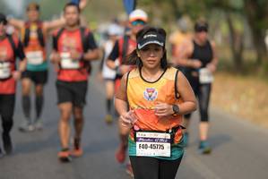 BIB: 42192, 45775
                            <button type="button" onclick="openModal(8021536)" class="btn btn-primary btn-sm float-right btn-popup" data-toggle="modal" data-target=".modal-high-quality">
                        <i class="fas fa-shopping-cart"></i> Add to Cart
                    </button>
                                            <button type="button" onclick="isThisMe(8021536, true)" class="btn btn-success btn-sm float-right btn-popup btn-isme hidden" data-toggle="tooltip" data-placement="bottom" title="นี่คือรูปของคุณใช่ไหม คลิกที่นี่เพื่อเอาเข้าอัลบั้ม">
                        <i class="fas fa-plus"></i> Add to album
                    </button>
                    <button type="button" onclick="isThisMe(8021536, false)" class="btn btn-warning btn-sm float-right btn-popup btn-isnotme hidden">
                        <i class="fas fa-ban"></i> Remove from album
                    </button>