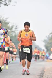 BIB: 7317, 28017
                            <button type="button" onclick="openModal(8696296)" class="btn btn-primary btn-sm float-right btn-popup" data-toggle="modal" data-target=".modal-high-quality">
                        <i class="fas fa-shopping-cart"></i> Add to Cart
                    </button>
                                            <button type="button" onclick="isThisMe(8696296, true)" class="btn btn-success btn-sm float-right btn-popup btn-isme hidden" data-toggle="tooltip" data-placement="bottom" title="นี่คือรูปของคุณใช่ไหม คลิกที่นี่เพื่อเอาเข้าอัลบั้ม">
                        <i class="fas fa-plus"></i> Add to album
                    </button>
                    <button type="button" onclick="isThisMe(8696296, false)" class="btn btn-warning btn-sm float-right btn-popup btn-isnotme hidden">
                        <i class="fas fa-ban"></i> Remove from album
                    </button>