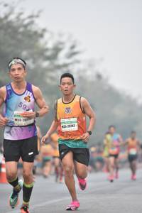 BIB: 269, 20142
                            <button type="button" onclick="openModal(9484983)" class="btn btn-primary btn-sm float-right btn-popup" data-toggle="modal" data-target=".modal-high-quality">
                        <i class="fas fa-shopping-cart"></i> Add to Cart
                    </button>
                                            <button type="button" onclick="isThisMe(9484983, true)" class="btn btn-success btn-sm float-right btn-popup btn-isme hidden" data-toggle="tooltip" data-placement="bottom" title="นี่คือรูปของคุณใช่ไหม คลิกที่นี่เพื่อเอาเข้าอัลบั้ม">
                        <i class="fas fa-plus"></i> Add to album
                    </button>
                    <button type="button" onclick="isThisMe(9484983, false)" class="btn btn-warning btn-sm float-right btn-popup btn-isnotme hidden">
                        <i class="fas fa-ban"></i> Remove from album
                    </button>