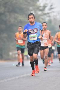 BIB: 25293
                            <button type="button" onclick="openModal(9494994)" class="btn btn-primary btn-sm float-right btn-popup" data-toggle="modal" data-target=".modal-high-quality">
                        <i class="fas fa-shopping-cart"></i> Add to Cart
                    </button>
                                            <button type="button" onclick="isThisMe(9494994, true)" class="btn btn-success btn-sm float-right btn-popup btn-isme hidden" data-toggle="tooltip" data-placement="bottom" title="นี่คือรูปของคุณใช่ไหม คลิกที่นี่เพื่อเอาเข้าอัลบั้ม">
                        <i class="fas fa-plus"></i> Add to album
                    </button>
                    <button type="button" onclick="isThisMe(9494994, false)" class="btn btn-warning btn-sm float-right btn-popup btn-isnotme hidden">
                        <i class="fas fa-ban"></i> Remove from album
                    </button>
