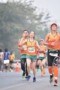 BIB: 273, 20163
                            <button type="button" onclick="openModal(9494913)" class="btn btn-primary btn-sm float-right btn-popup" data-toggle="modal" data-target=".modal-high-quality">
                        <i class="fas fa-shopping-cart"></i> Add to Cart
                    </button>
                                            <button type="button" onclick="isThisMe(9494913, true)" class="btn btn-success btn-sm float-right btn-popup btn-isme hidden" data-toggle="tooltip" data-placement="bottom" title="นี่คือรูปของคุณใช่ไหม คลิกที่นี่เพื่อเอาเข้าอัลบั้ม">
                        <i class="fas fa-plus"></i> Add to album
                    </button>
                    <button type="button" onclick="isThisMe(9494913, false)" class="btn btn-warning btn-sm float-right btn-popup btn-isnotme hidden">
                        <i class="fas fa-ban"></i> Remove from album
                    </button>