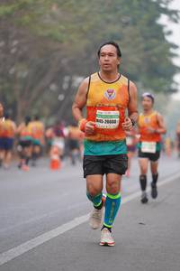 BIB: 26660
                            <button type="button" onclick="openModal(9679985)" class="btn btn-primary btn-sm float-right btn-popup" data-toggle="modal" data-target=".modal-high-quality">
                        <i class="fas fa-shopping-cart"></i> Add to Cart
                    </button>
                                            <button type="button" onclick="isThisMe(9679985, true)" class="btn btn-success btn-sm float-right btn-popup btn-isme hidden" data-toggle="tooltip" data-placement="bottom" title="นี่คือรูปของคุณใช่ไหม คลิกที่นี่เพื่อเอาเข้าอัลบั้ม">
                        <i class="fas fa-plus"></i> Add to album
                    </button>
                    <button type="button" onclick="isThisMe(9679985, false)" class="btn btn-warning btn-sm float-right btn-popup btn-isnotme hidden">
                        <i class="fas fa-ban"></i> Remove from album
                    </button>