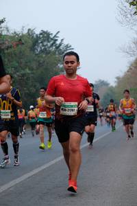 BIB: 21707
                            <button type="button" onclick="openModal(9380480)" class="btn btn-primary btn-sm float-right btn-popup" data-toggle="modal" data-target=".modal-high-quality">
                        <i class="fas fa-shopping-cart"></i> Add to Cart
                    </button>
                                            <button type="button" onclick="isThisMe(9380480, true)" class="btn btn-success btn-sm float-right btn-popup btn-isme hidden" data-toggle="tooltip" data-placement="bottom" title="นี่คือรูปของคุณใช่ไหม คลิกที่นี่เพื่อเอาเข้าอัลบั้ม">
                        <i class="fas fa-plus"></i> Add to album
                    </button>
                    <button type="button" onclick="isThisMe(9380480, false)" class="btn btn-warning btn-sm float-right btn-popup btn-isnotme hidden">
                        <i class="fas fa-ban"></i> Remove from album
                    </button>