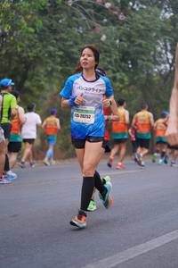BIB: 20252
                            <button type="button" onclick="openModal(9710968)" class="btn btn-primary btn-sm float-right btn-popup" data-toggle="modal" data-target=".modal-high-quality">
                        <i class="fas fa-shopping-cart"></i> Add to Cart
                    </button>
                                            <button type="button" onclick="isThisMe(9710968, true)" class="btn btn-success btn-sm float-right btn-popup btn-isme hidden" data-toggle="tooltip" data-placement="bottom" title="นี่คือรูปของคุณใช่ไหม คลิกที่นี่เพื่อเอาเข้าอัลบั้ม">
                        <i class="fas fa-plus"></i> Add to album
                    </button>
                    <button type="button" onclick="isThisMe(9710968, false)" class="btn btn-warning btn-sm float-right btn-popup btn-isnotme hidden">
                        <i class="fas fa-ban"></i> Remove from album
                    </button>