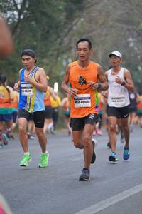 BIB: 48224, 48160
                            <button type="button" onclick="openModal(9708818)" class="btn btn-primary btn-sm float-right btn-popup" data-toggle="modal" data-target=".modal-high-quality">
                        <i class="fas fa-shopping-cart"></i> Add to Cart
                    </button>
                                            <button type="button" onclick="isThisMe(9708818, true)" class="btn btn-success btn-sm float-right btn-popup btn-isme hidden" data-toggle="tooltip" data-placement="bottom" title="นี่คือรูปของคุณใช่ไหม คลิกที่นี่เพื่อเอาเข้าอัลบั้ม">
                        <i class="fas fa-plus"></i> Add to album
                    </button>
                    <button type="button" onclick="isThisMe(9708818, false)" class="btn btn-warning btn-sm float-right btn-popup btn-isnotme hidden">
                        <i class="fas fa-ban"></i> Remove from album
                    </button>