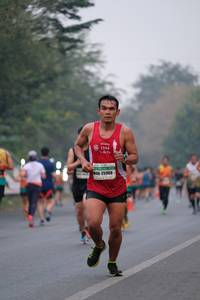 BIB: 1144, 25908
                            <button type="button" onclick="openModal(9309032)" class="btn btn-primary btn-sm float-right btn-popup" data-toggle="modal" data-target=".modal-high-quality">
                        <i class="fas fa-shopping-cart"></i> Add to Cart
                    </button>
                                            <button type="button" onclick="isThisMe(9309032, true)" class="btn btn-success btn-sm float-right btn-popup btn-isme hidden" data-toggle="tooltip" data-placement="bottom" title="นี่คือรูปของคุณใช่ไหม คลิกที่นี่เพื่อเอาเข้าอัลบั้ม">
                        <i class="fas fa-plus"></i> Add to album
                    </button>
                    <button type="button" onclick="isThisMe(9309032, false)" class="btn btn-warning btn-sm float-right btn-popup btn-isnotme hidden">
                        <i class="fas fa-ban"></i> Remove from album
                    </button>