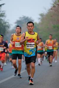 BIB: 48135
                            <button type="button" onclick="openModal(9426179)" class="btn btn-primary btn-sm float-right btn-popup" data-toggle="modal" data-target=".modal-high-quality">
                        <i class="fas fa-shopping-cart"></i> Add to Cart
                    </button>
                                            <button type="button" onclick="isThisMe(9426179, true)" class="btn btn-success btn-sm float-right btn-popup btn-isme hidden" data-toggle="tooltip" data-placement="bottom" title="นี่คือรูปของคุณใช่ไหม คลิกที่นี่เพื่อเอาเข้าอัลบั้ม">
                        <i class="fas fa-plus"></i> Add to album
                    </button>
                    <button type="button" onclick="isThisMe(9426179, false)" class="btn btn-warning btn-sm float-right btn-popup btn-isnotme hidden">
                        <i class="fas fa-ban"></i> Remove from album
                    </button>