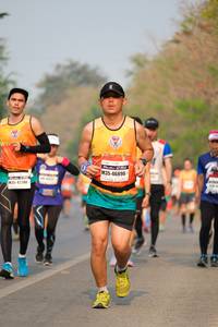 BIB: 46896, 47280
                            <button type="button" onclick="openModal(9559816)" class="btn btn-primary btn-sm float-right btn-popup" data-toggle="modal" data-target=".modal-high-quality">
                        <i class="fas fa-shopping-cart"></i> Add to Cart
                    </button>
                                            <button type="button" onclick="isThisMe(9559816, true)" class="btn btn-success btn-sm float-right btn-popup btn-isme hidden" data-toggle="tooltip" data-placement="bottom" title="นี่คือรูปของคุณใช่ไหม คลิกที่นี่เพื่อเอาเข้าอัลบั้ม">
                        <i class="fas fa-plus"></i> Add to album
                    </button>
                    <button type="button" onclick="isThisMe(9559816, false)" class="btn btn-warning btn-sm float-right btn-popup btn-isnotme hidden">
                        <i class="fas fa-ban"></i> Remove from album
                    </button>